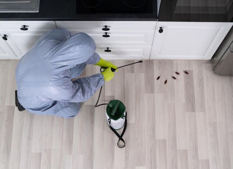 Exterminator In Workwear Spraying Pesticide With Sprayer